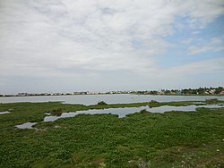 அம்பத்தூர் ஏரி