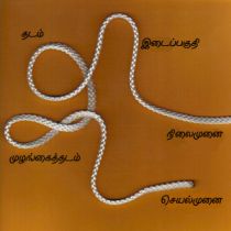 படிமம்:BightLoopElbow-ta.jpg