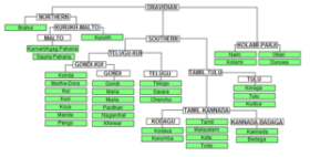 படிமம்:DravidianTree.png