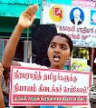 15:30, 7 பெப்பிரவரி 2025 இலிருந்த பதிப்புக்கான சிறு தோற்றம்