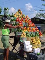 படிமம்:Mango maracay.JPG