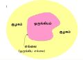 17:12, 7 பெப்பிரவரி 2025 இலிருந்த பதிப்புக்கான சிறு தோற்றம்
