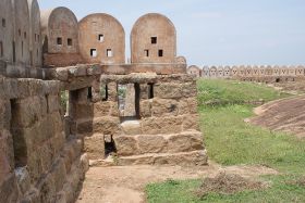 படிமம்:Inside Thirumayam Fort.JPG