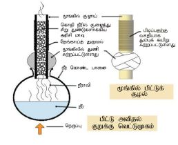 படிமம்:Pittu-ta.jpg